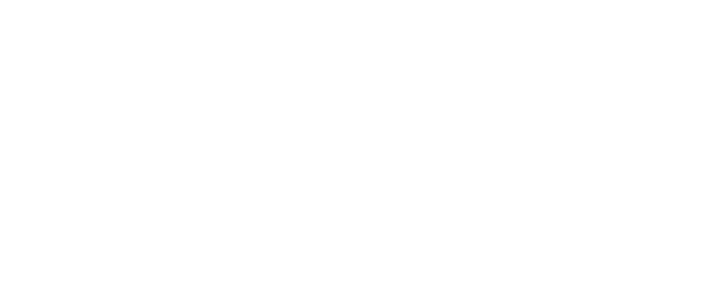 Fervidros-logo-white